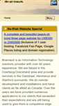 Mobile Screenshot of brainiacit.com